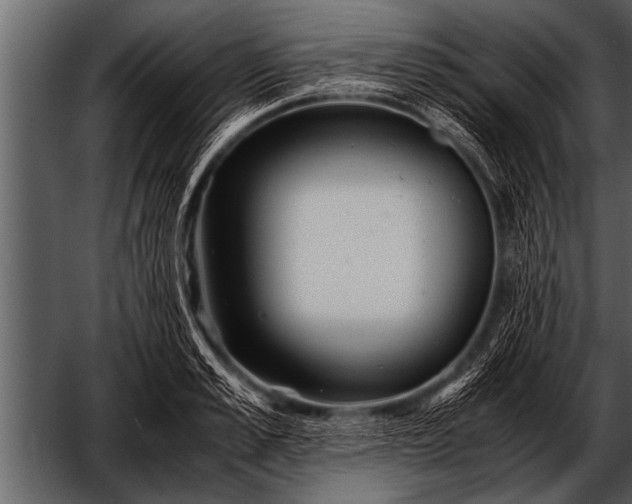 X0000052630989200507160126