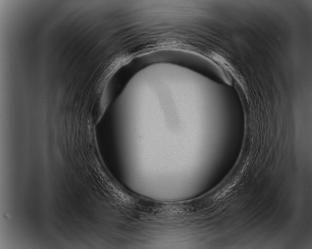 X0000052630993200507160126
