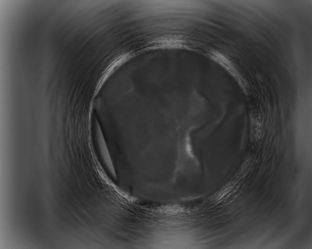 X0000052630994200507160126