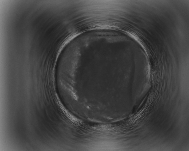 X0000052630995200507160126