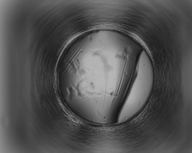 X0000052630996200507160126