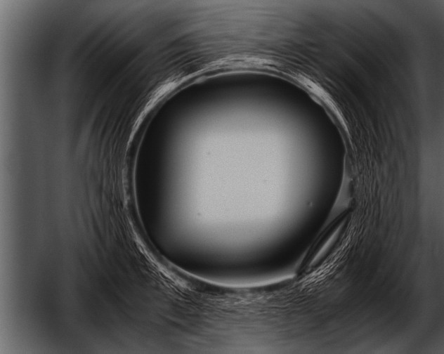 X0000052630997200507160126