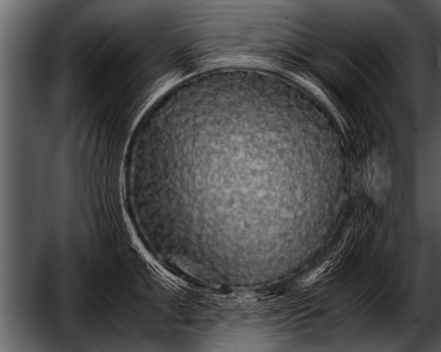 X0000052630999200507160126
