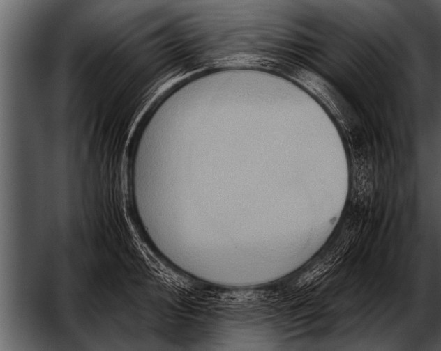 X0000052631000200507160126