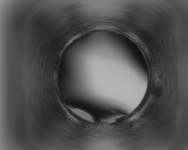 X0000052631001200507160126