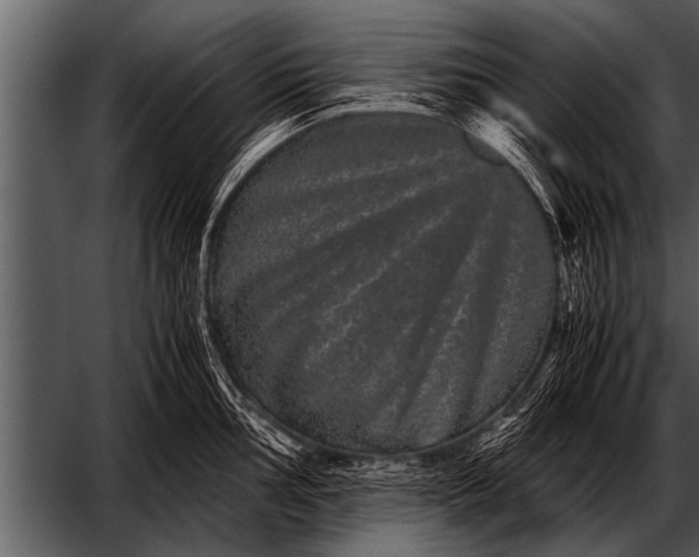 X0000052631002200507160126