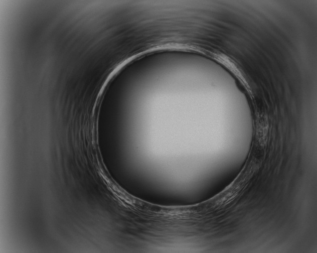 X0000052631004200507160126