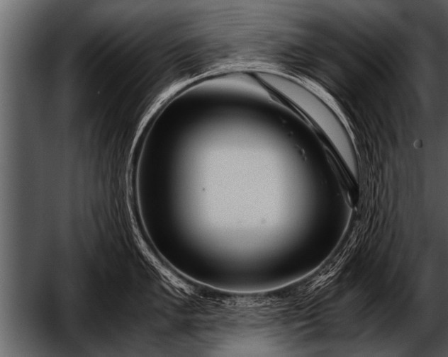 X0000052631005200507160126