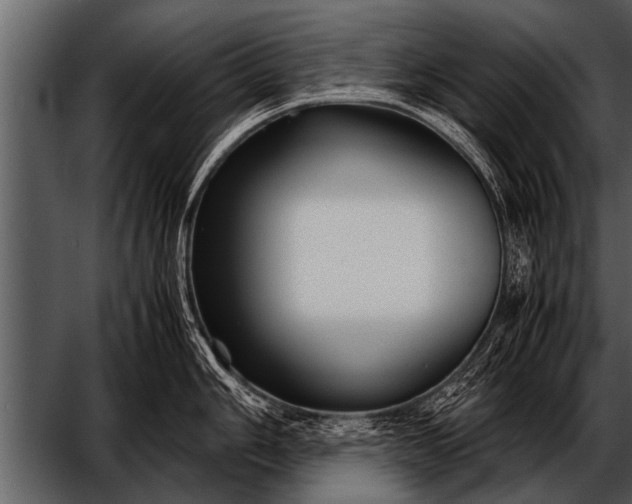 X0000052631006200507160126