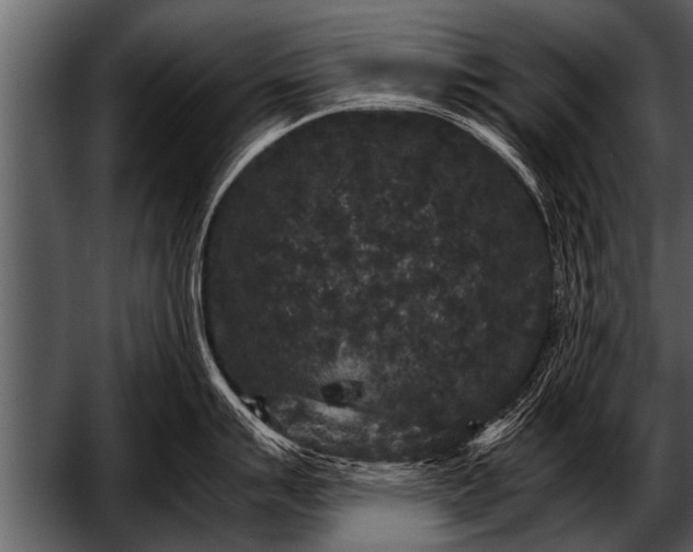 X0000052631007200507160126