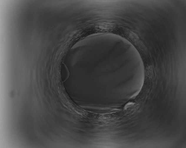 X0000052631009200507160125