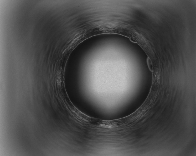 X0000052631012200507160125