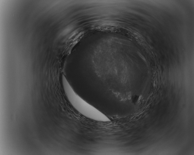 X0000052631013200507160125