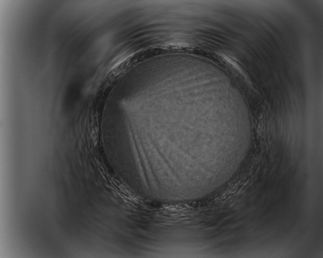 X0000052631015200507160125