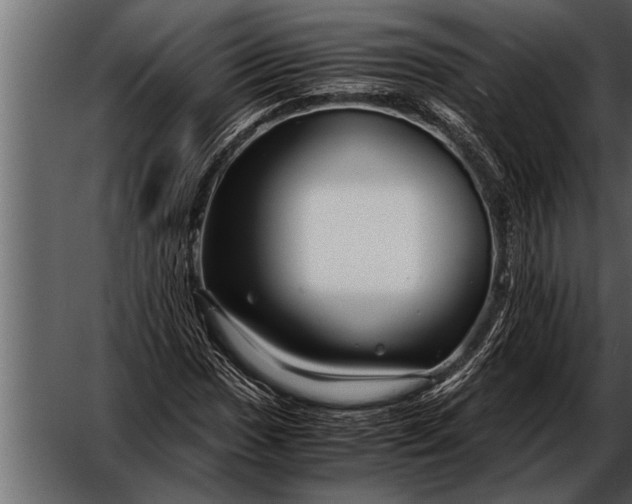 X0000052631017200507160125