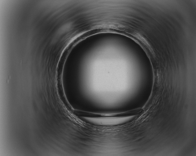 X0000052631020200507160125