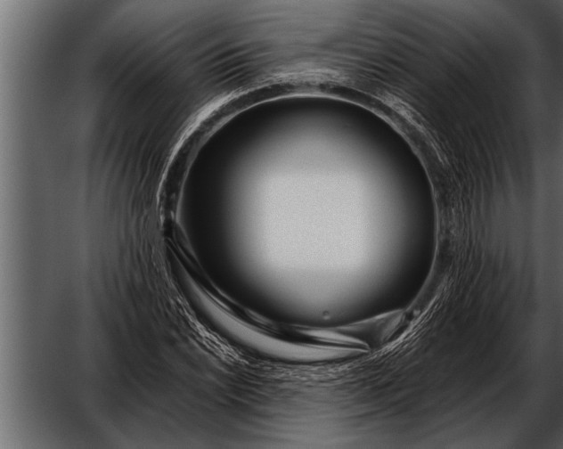 X0000052631022200507160125