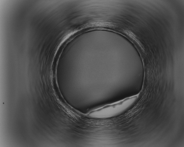 X0000052631024200507160125