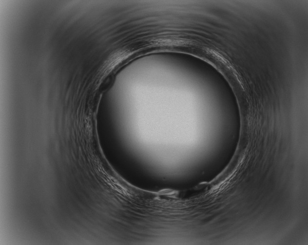 X0000052631025200507160125