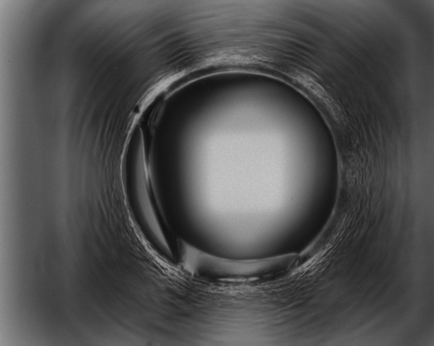 X0000052631030200507160125