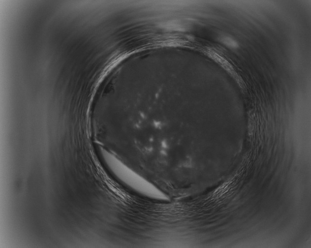 X0000052631031200507160125