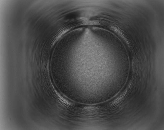 X0000052631033200507160125