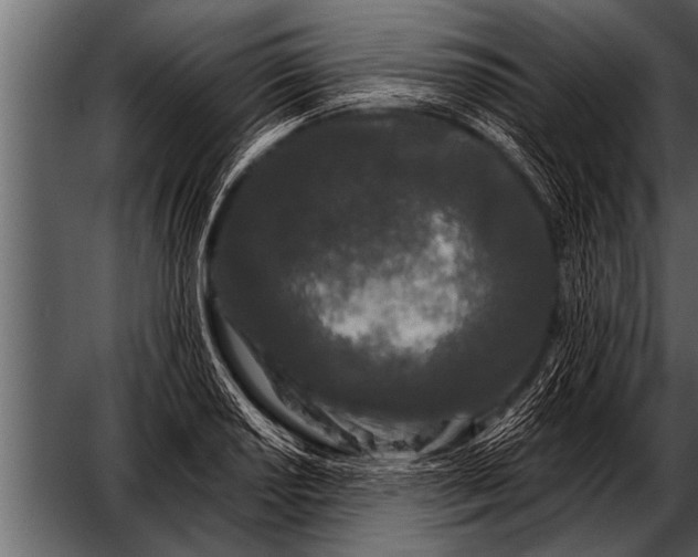 X0000052631034200507160125