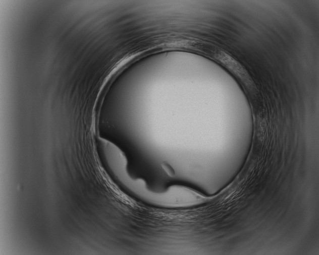 X0000052631036200507160125