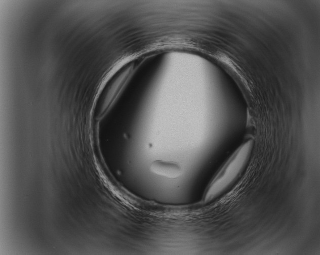 X0000052631038200507160125