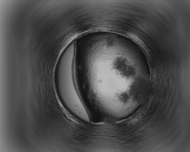 X0000052631047200507160125
