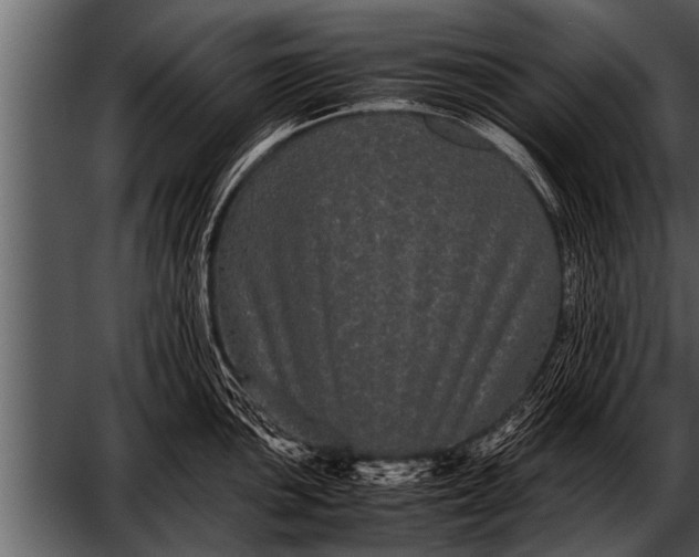 X0000052631051200507160125
