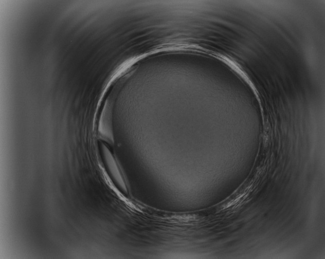 X0000052631053200507160125