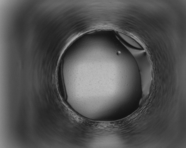 X0000052631056200507160125