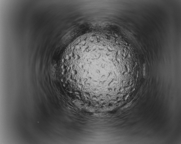 X0000052631059200507160125