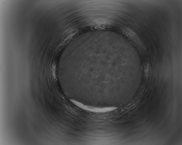 X0000052631060200507160125