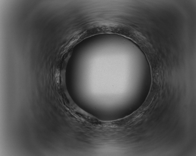 X0000052631061200507160125