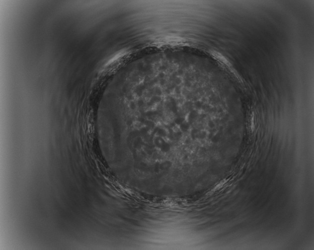 X0000052631063200507160125