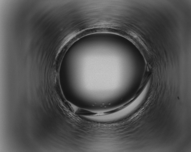 X0000052631069200507160124