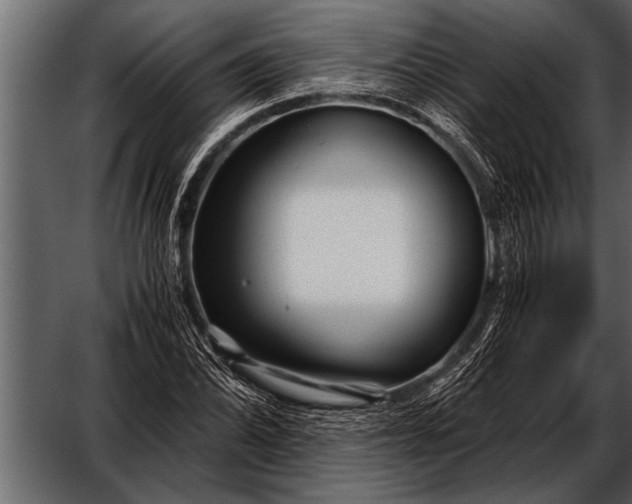 X0000052631070200507160124