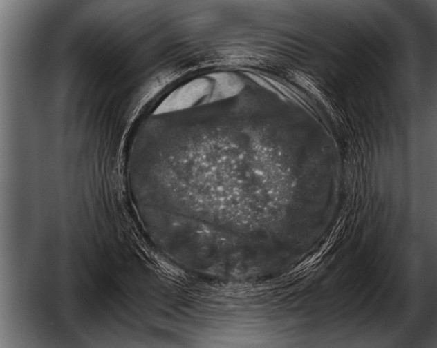 X0000052631071200507160124