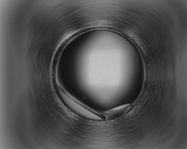X0000052631072200507160124
