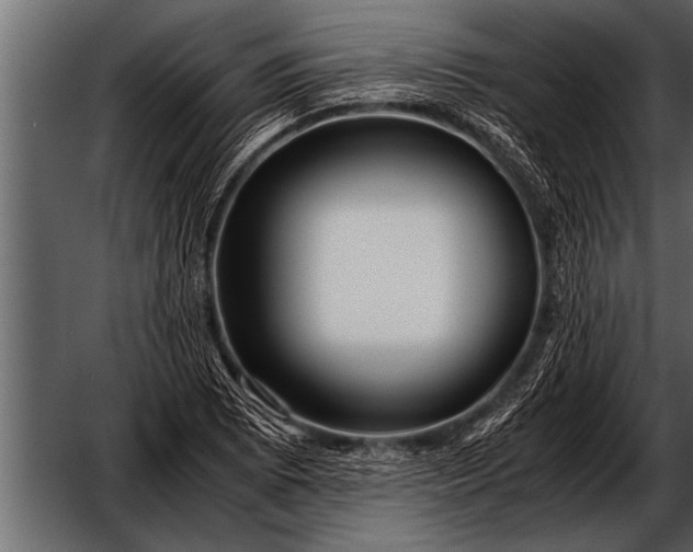 X0000052631073200507160124