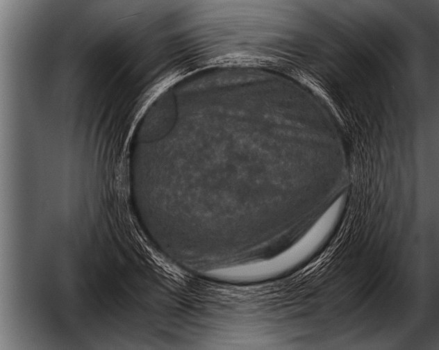 X0000052631075200507160124
