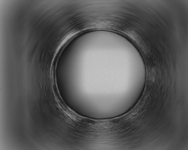 X0000052631078200507160124