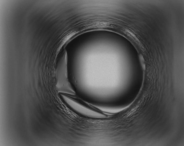 X0000052631081200507160124