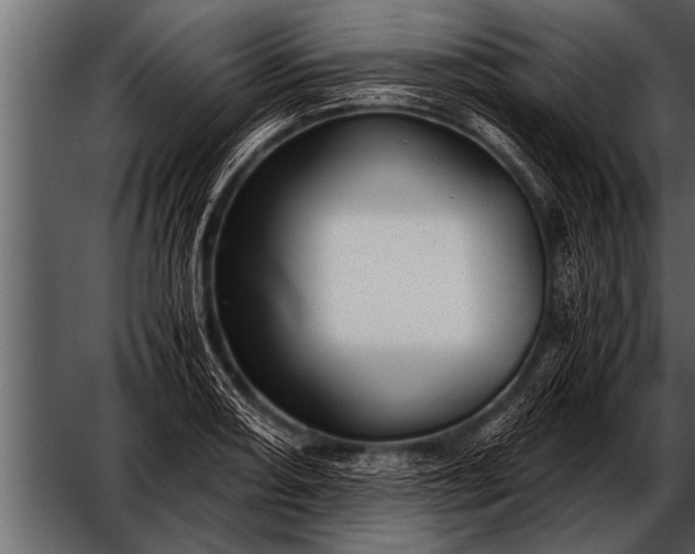 X0000052631082200507160124
