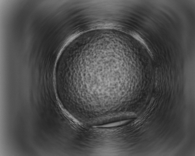 X0000052631088200507160124