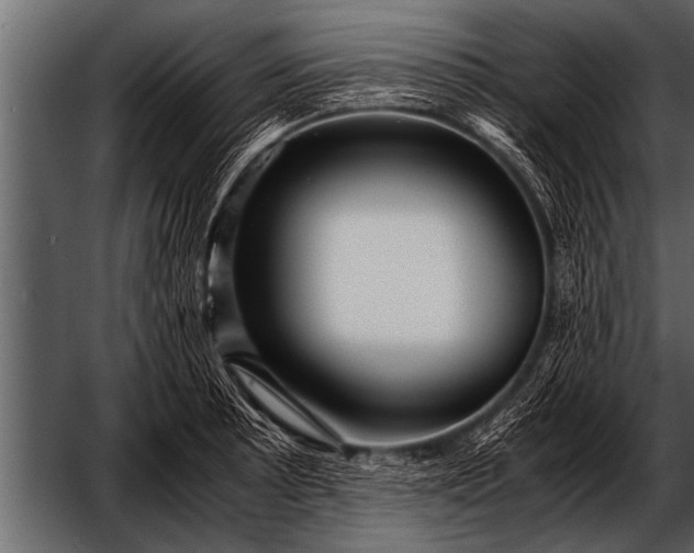 X0000052631089200507160124