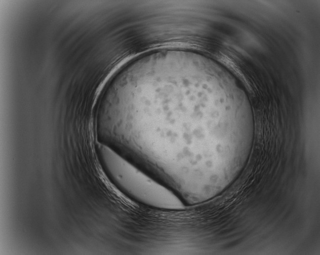 X0000052631092200507160124