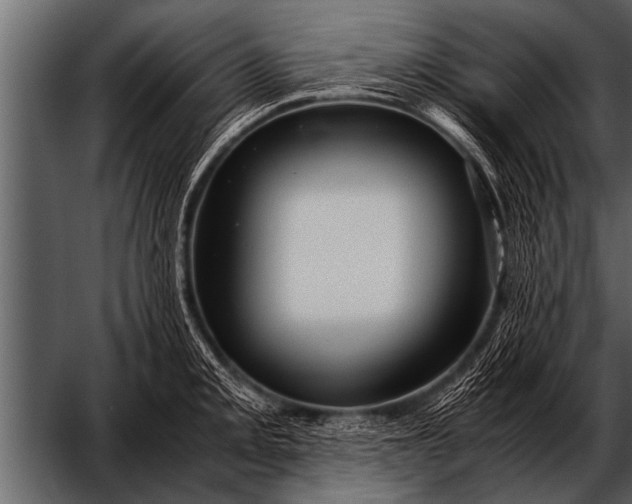 X0000052631093200507160124
